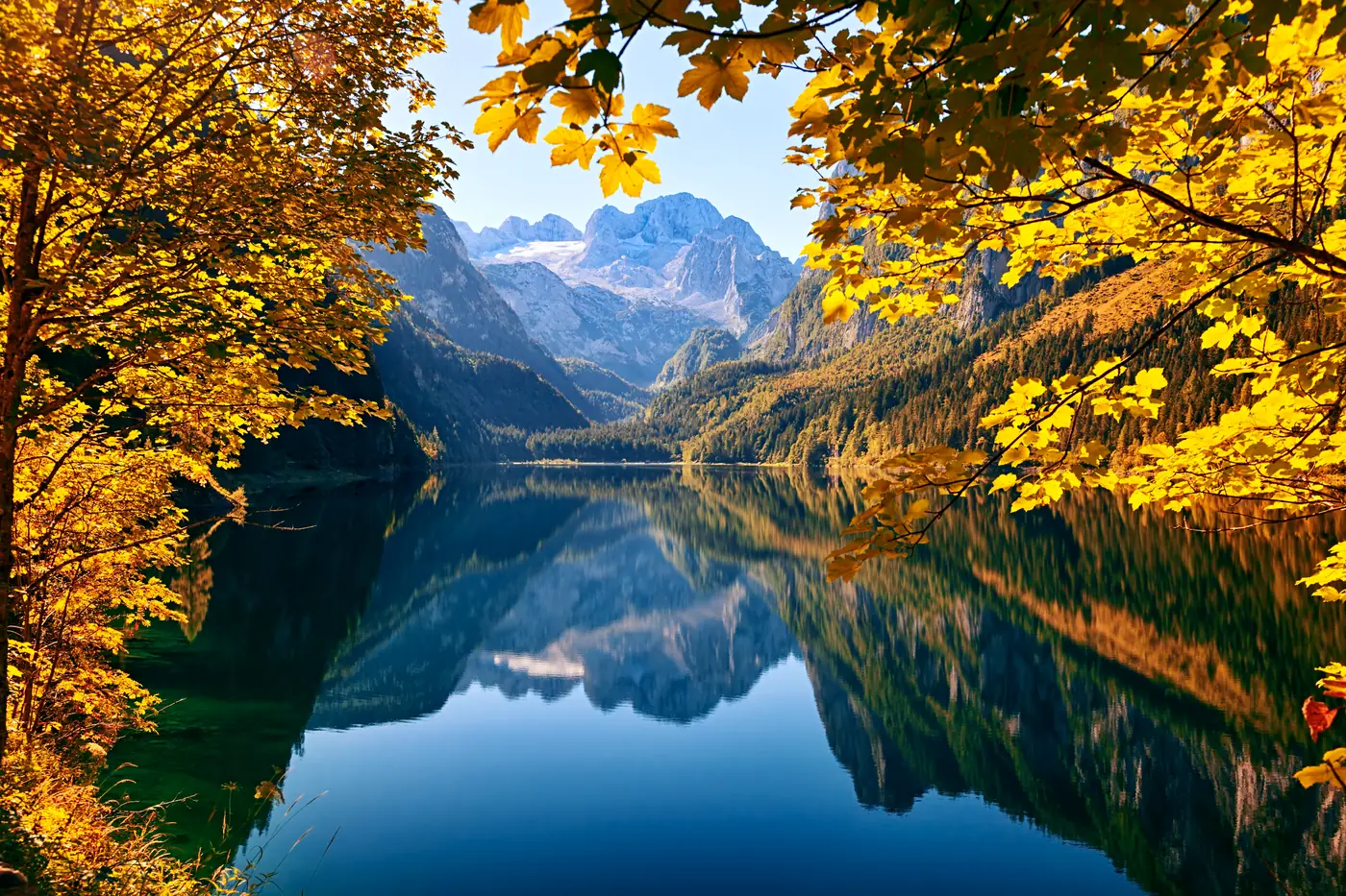 Herbstlich gefärbte Bäume am Ufer des Gosausees